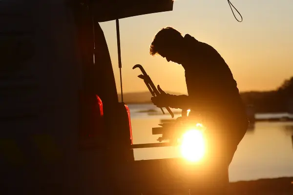 Rølegger på vakt i solnedgang